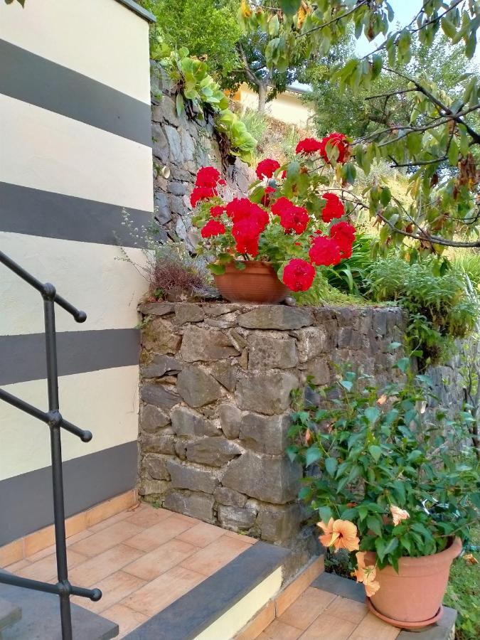 5 Terre - B&B La Giuditta - La Spezia Kültér fotó